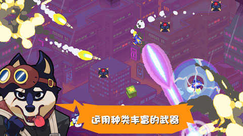 22155821dhvl.jpg